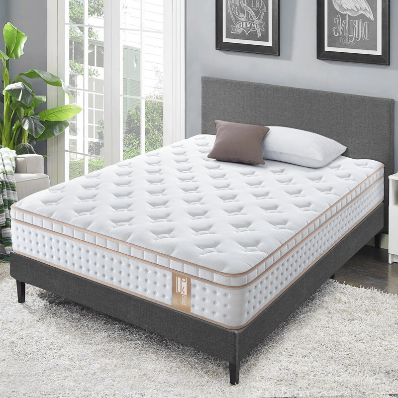 Alwyn Home Palace 12'' Medium Mattress & Reviews Wayfair